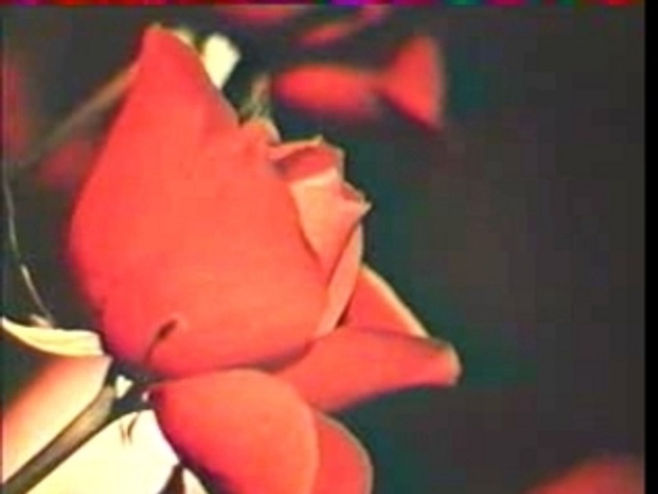 Brigitte Bardot & Sacha Distel - La Bises Aux Hippies