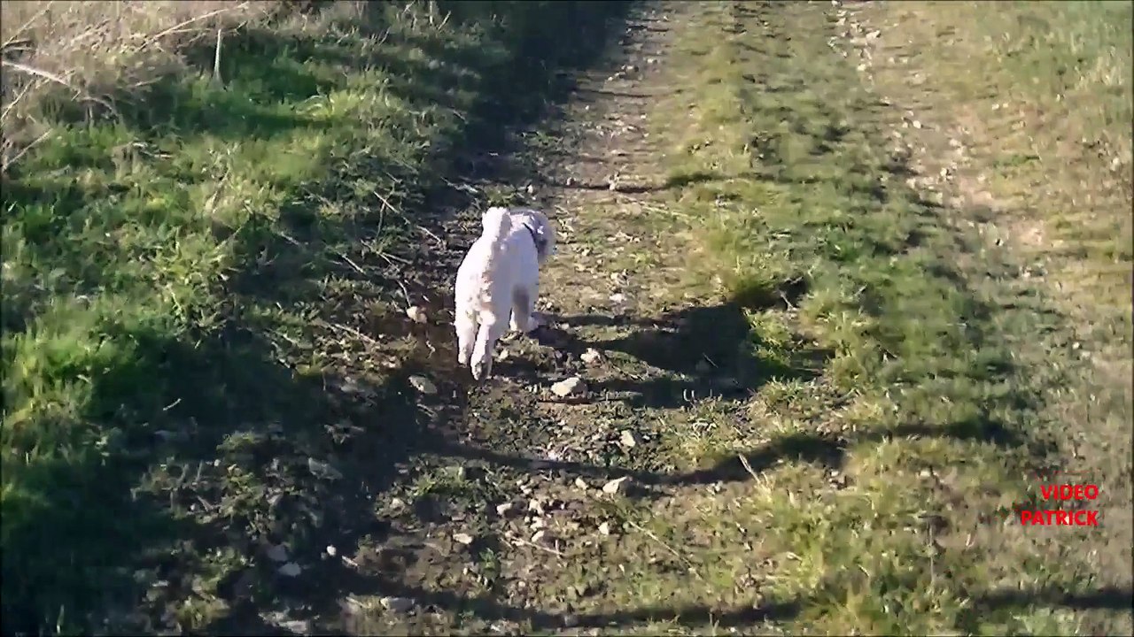 Promenade du 15 décembre 2015