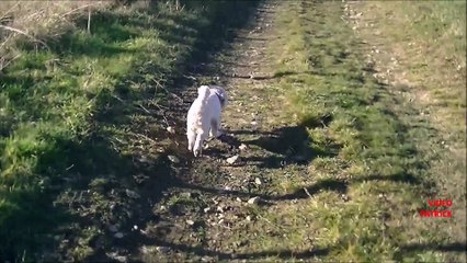 Promenade du 15 décembre 2015