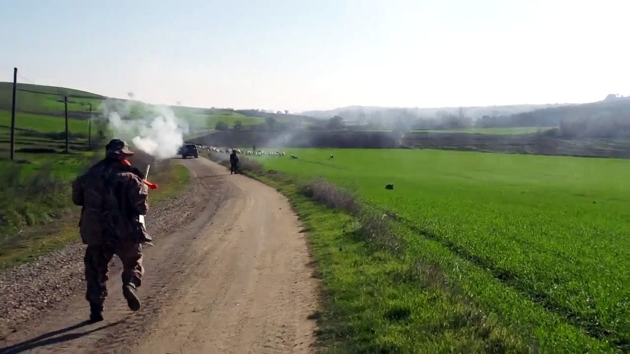 Domuz Avı Wild Boar Hunting. Wild Boar Attack