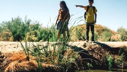 Morgan Page - Running Wild feat. The Oddictions and Britt Daley