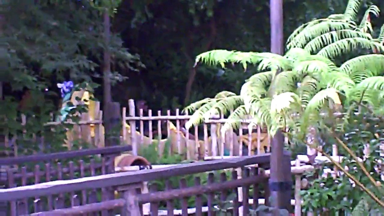 theme park Kobe bryant at disneyland getting off winnie the pooh ride 6/22/10 basketball