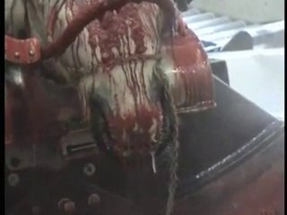 Pourquoi ne vont ils pas là où les abattoirs respectent le sacrifice religieux et pratiquent scrupuleusement..,?