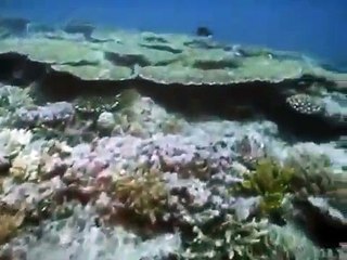 Les océans Film documentaire