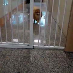 فيديو| منوعات| وده اللي بيعمله فينا هدوم الشتاء