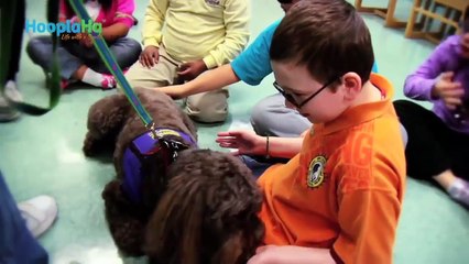 Kindness Is The Universal Language