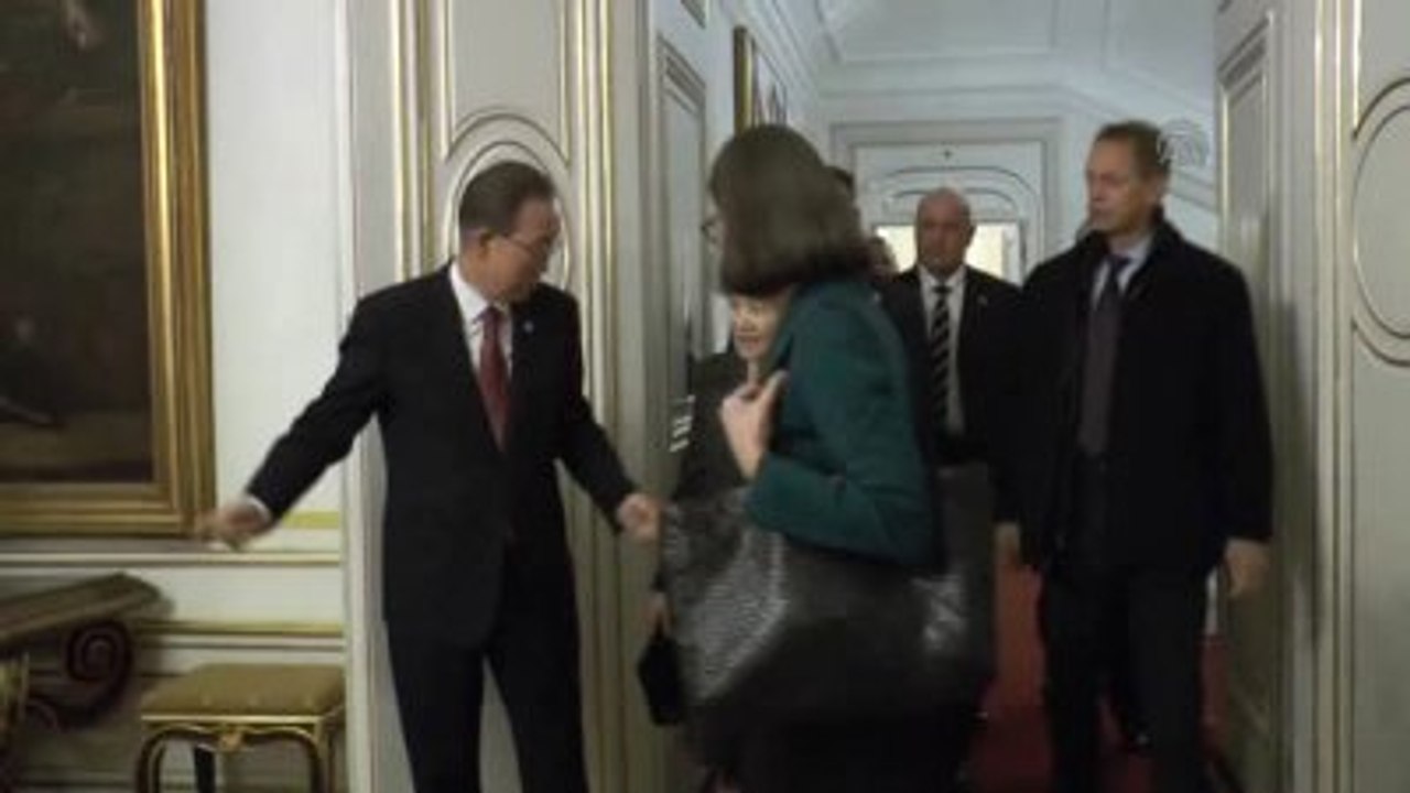 BM Genel Sekreteri Ban Ki-Moon, Viyana'da