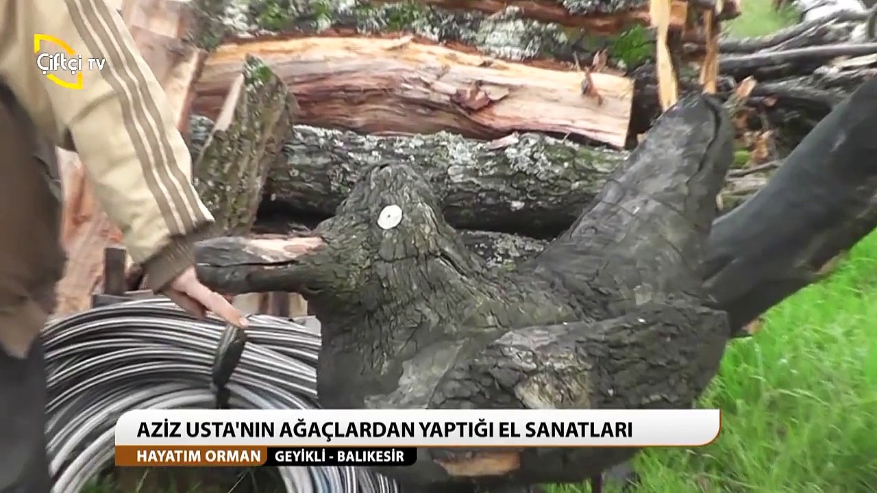 Hayatım ORMAN-2 -Aziz Can Ormanda Yaşayan Sanatkar GEYİKLİ Köyü Gönen BALIKESİR