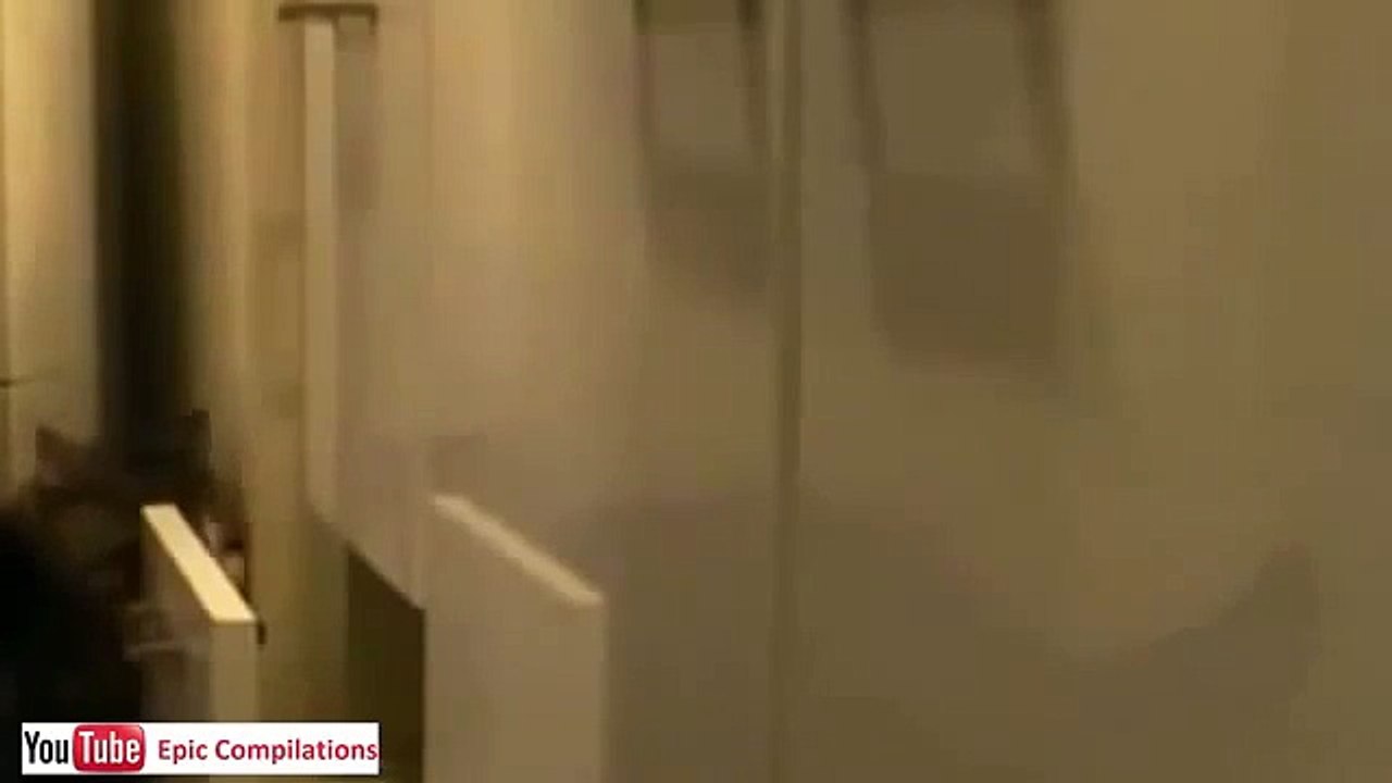 Video Divertenti,Incidenti,barzelletta gatti divertenti 9