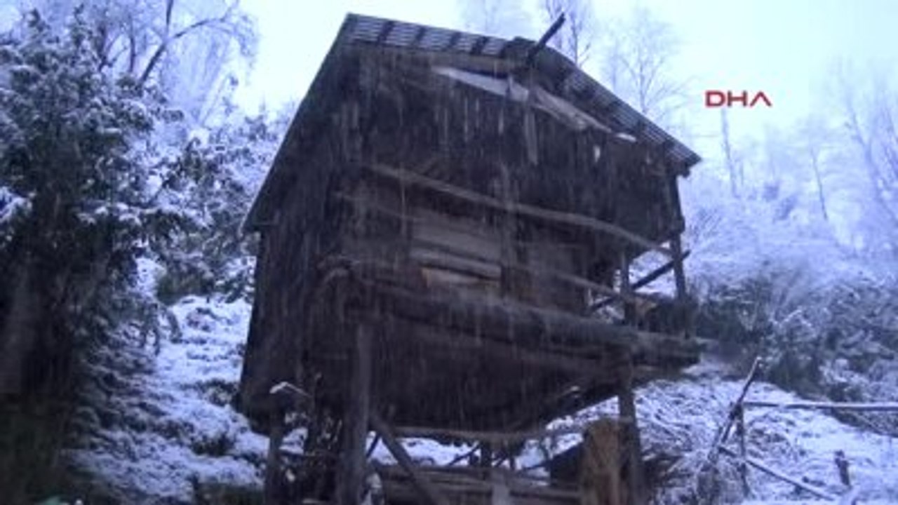 Rize - İlk Lazca Köy Adı Verildi, Murat Köyü'nün Adı Komilo Oldu