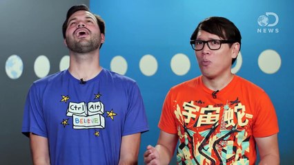 The Best DNews Bloopers of 2015