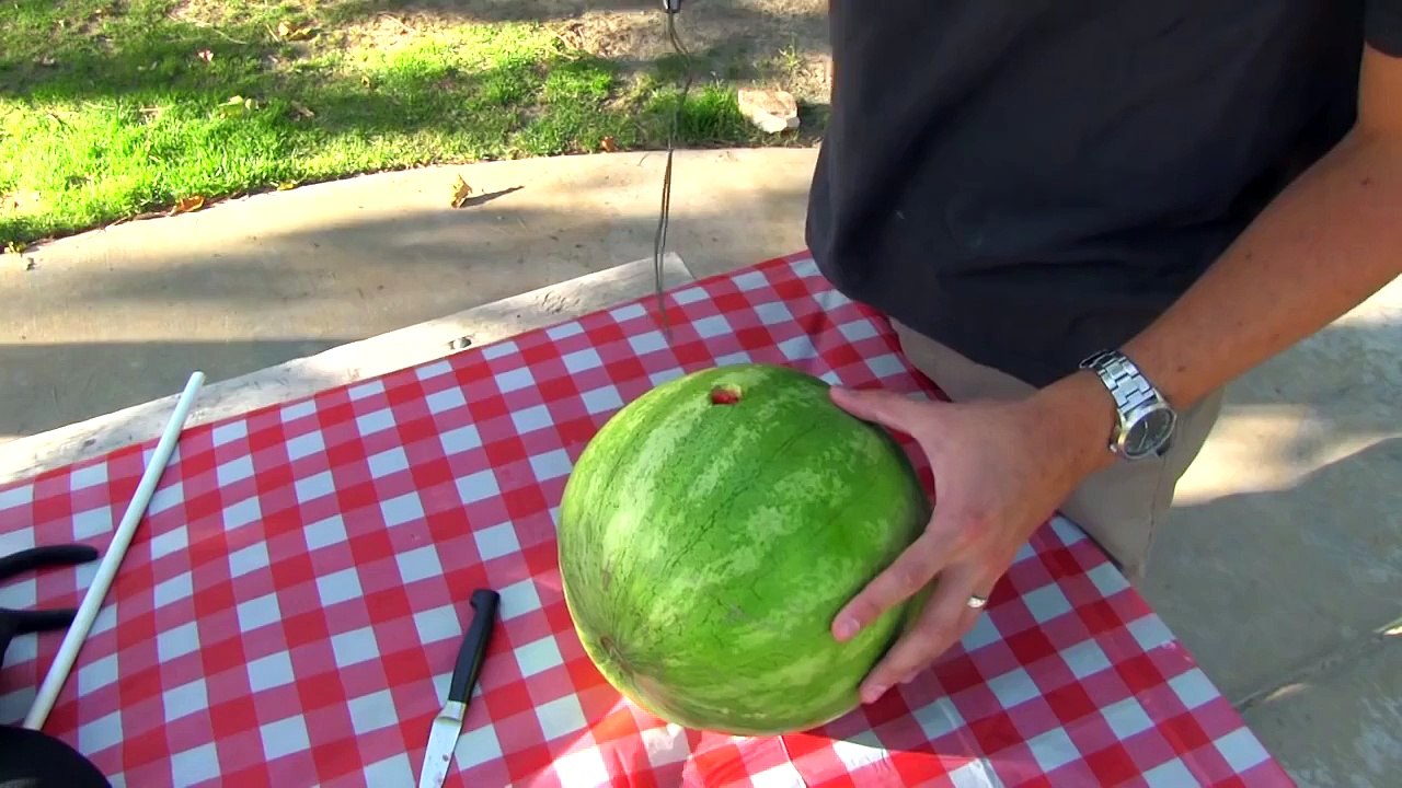 Watermelon smoothie hack in 2 minutes- No mess