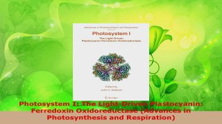 Download  Photosystem I The LightDriven Plastocyanin Ferredoxin Oxidoreductase Advances in Ebook Online