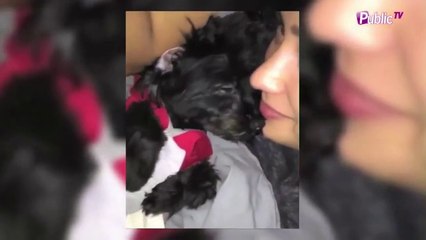 Exclu vidéo : Demi Lovato : Moment câlin avec son chien !