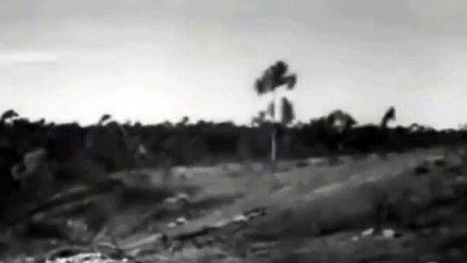 WW2: Notes on Jungle Warfare (1944)