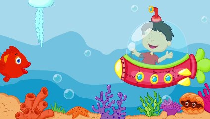 Kırmızı Balık Çocuk Şarkısı