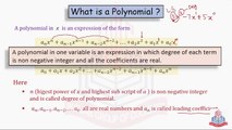 What is Polynomial ? Examples of Polynomials