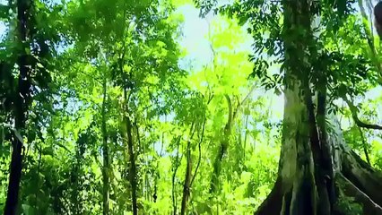 Valeria Mais que nada de Jorge Ben LVK Colombia Audiciones a ciegas T1