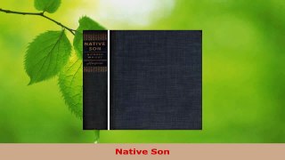 Read  Native Son Ebook Free