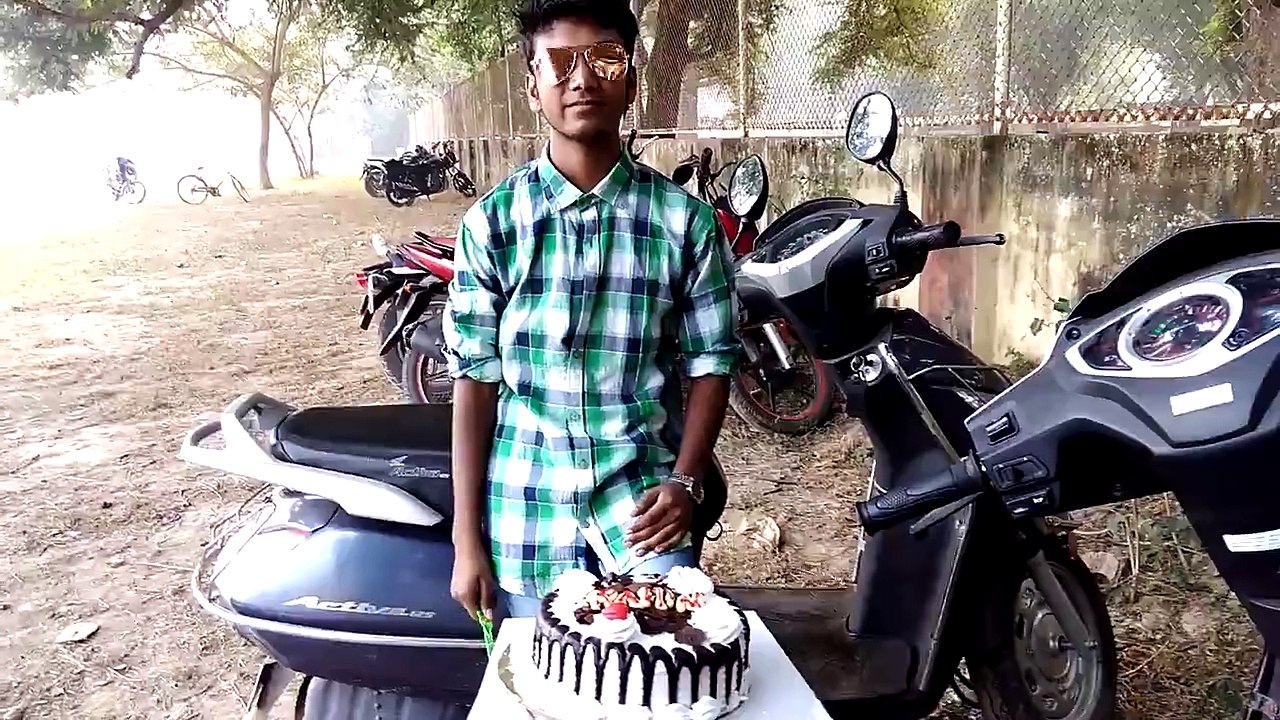 Bull fighting FUNNY VIDEOS