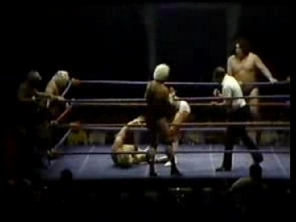 Hogan & Andre vs Heenan Familie