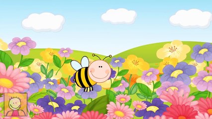 Mini Mini Bir Kuş Konmuştu Çocuk şarkıları