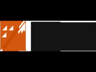 Foxx A well known Market Study Company in Moscow