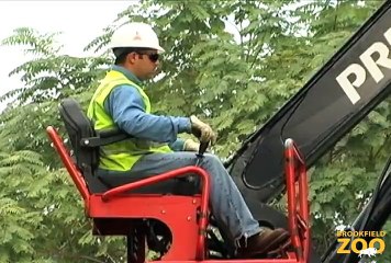 Brookfield Zoo Branches Out with ComEd Browse Program for the Animals