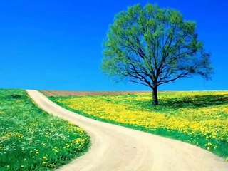 Na Koi ilzaam tumko dunga