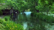 Nature Sounds River Sounds〜Calming