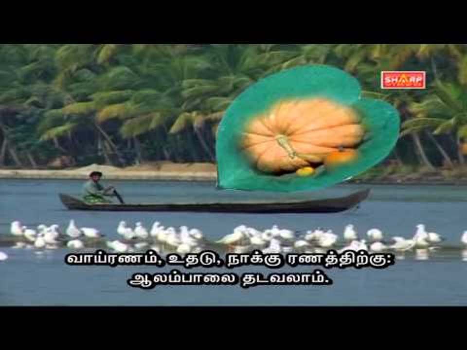 sidha Tips for mouth