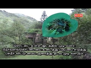 siddha tips for hair