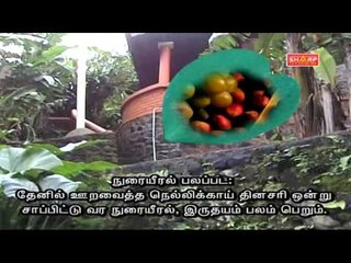 sidha tips