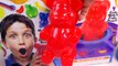 GIANT RAINBOW GUMMI BEAR Gummy Factory Create Gummi Bears Sweet N Sour Candy Kit Unboxing