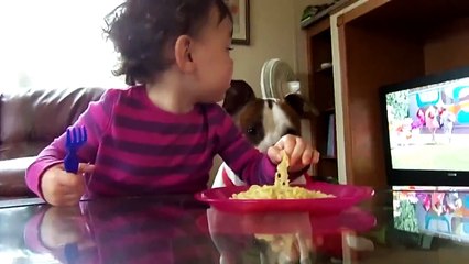 Sevimli Bebeğin Ağzından Noodle Çalan Sinsi Köpek