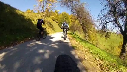 Uphill and downhill MTB - Mount Oljka, Celje, Slovenia