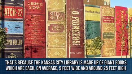 The Worst Black Friday Disasters Video