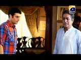 Sada Sukhi Raho Episode 86 Full on Geo tv 31st December 2015 (1)