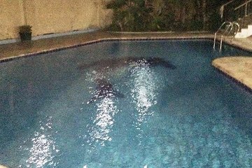 Large Apartment for Rent in 6th. October  First Touristic Village