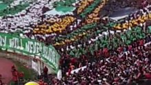 WAC vs radja الوداد البيضاوي vs العرجاتيفو حديقة الحيوان + الكذابين