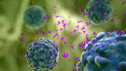 Brazil first South American country to authorize dengue vaccine