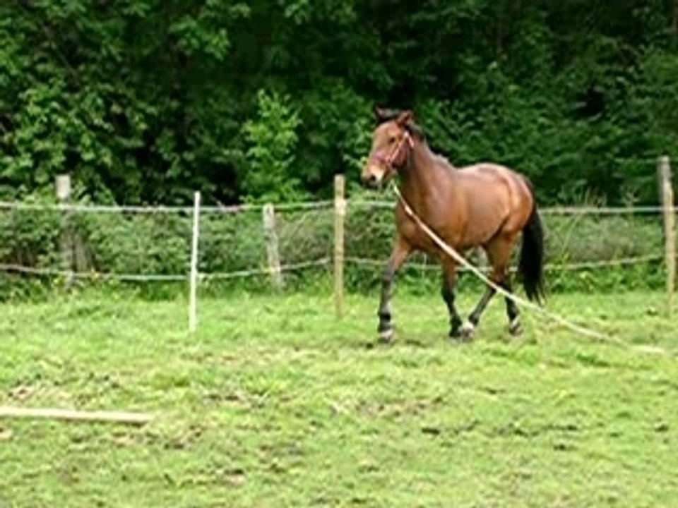 Queno qui passe a coté de la barre