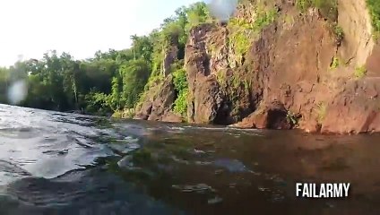 When Animals Attack Compilation __ FailArmy