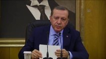 Cumhurbaşkanı Erdoğan Yurda Döndü (2)