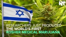 Introducing The World's First Kosher Medical Marijuana