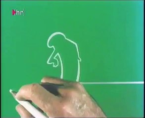 La Linea 105