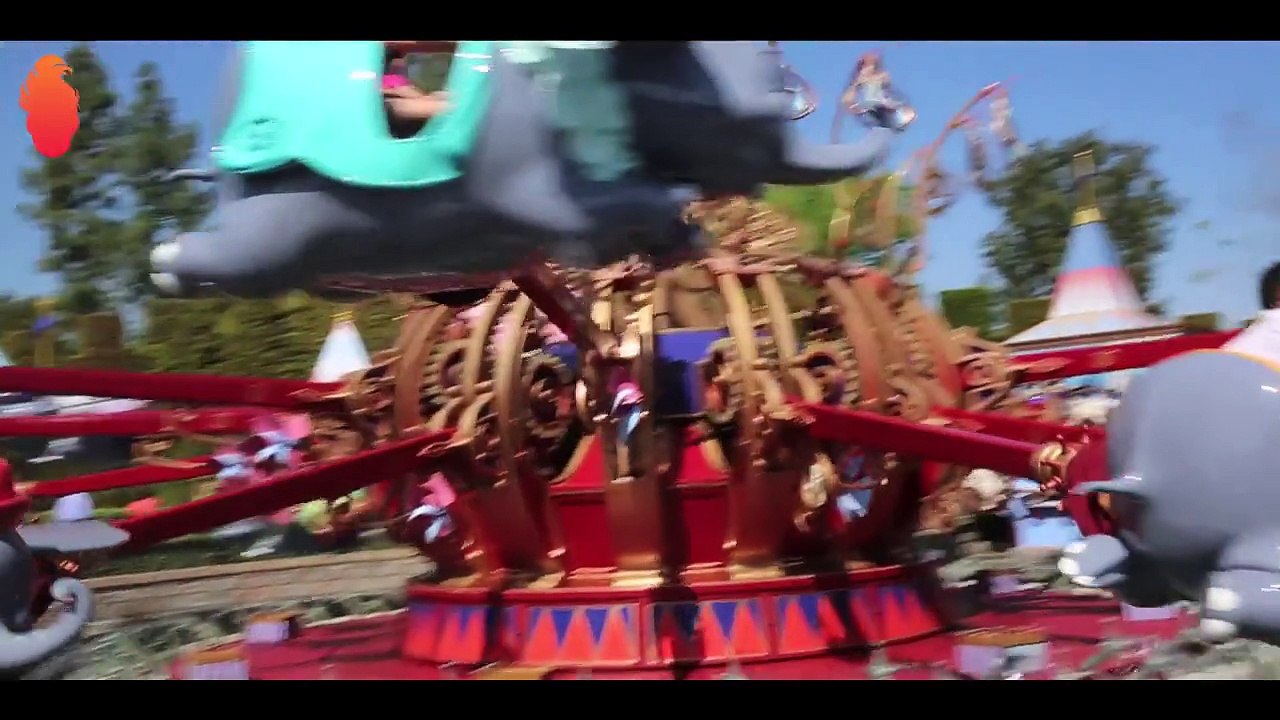hayrettin Hayrettin ile Disneyland Turu disneyland