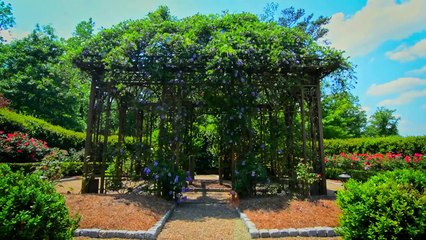 Atlanta's Most Amazing 25 Million Dollar Estate - WOW!!