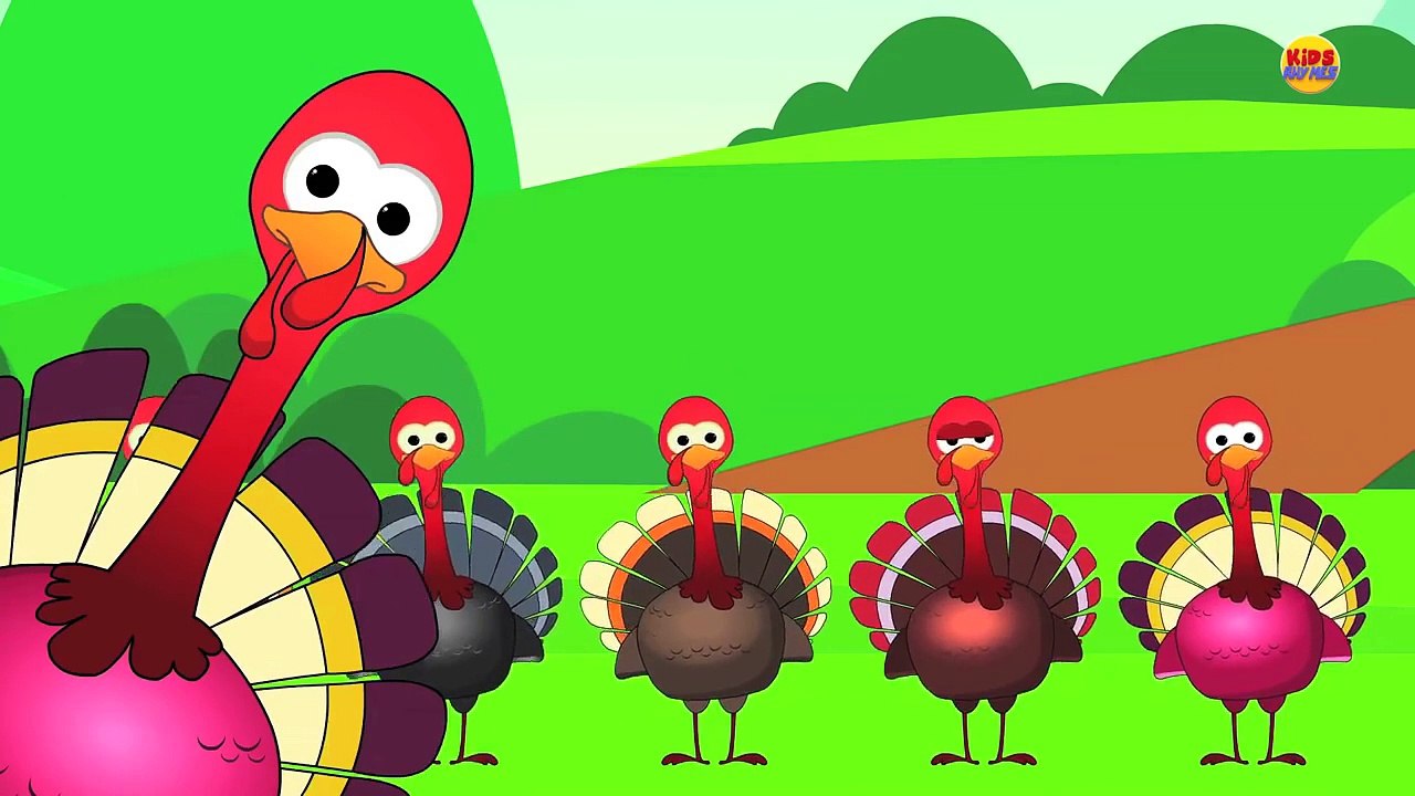 Five Little Turkeys | Turkey Song | Happy Thanks Giving