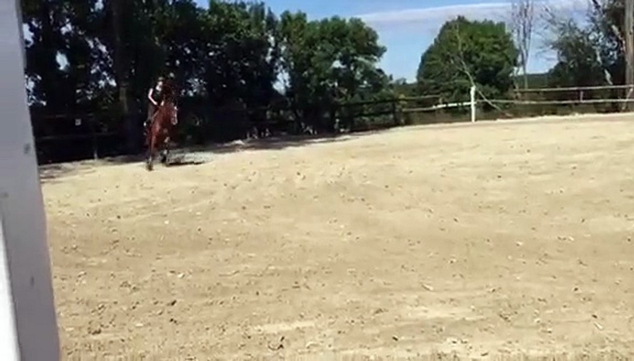 FIERRO VAN DE MARQUETTE oxer